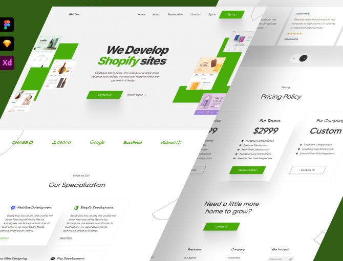 Web Dev - Agency Landing Page Screen 1