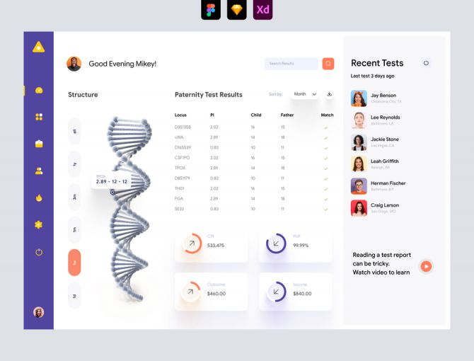 DNA Report Dashboard UI - Adobe XD and Figma Resources
